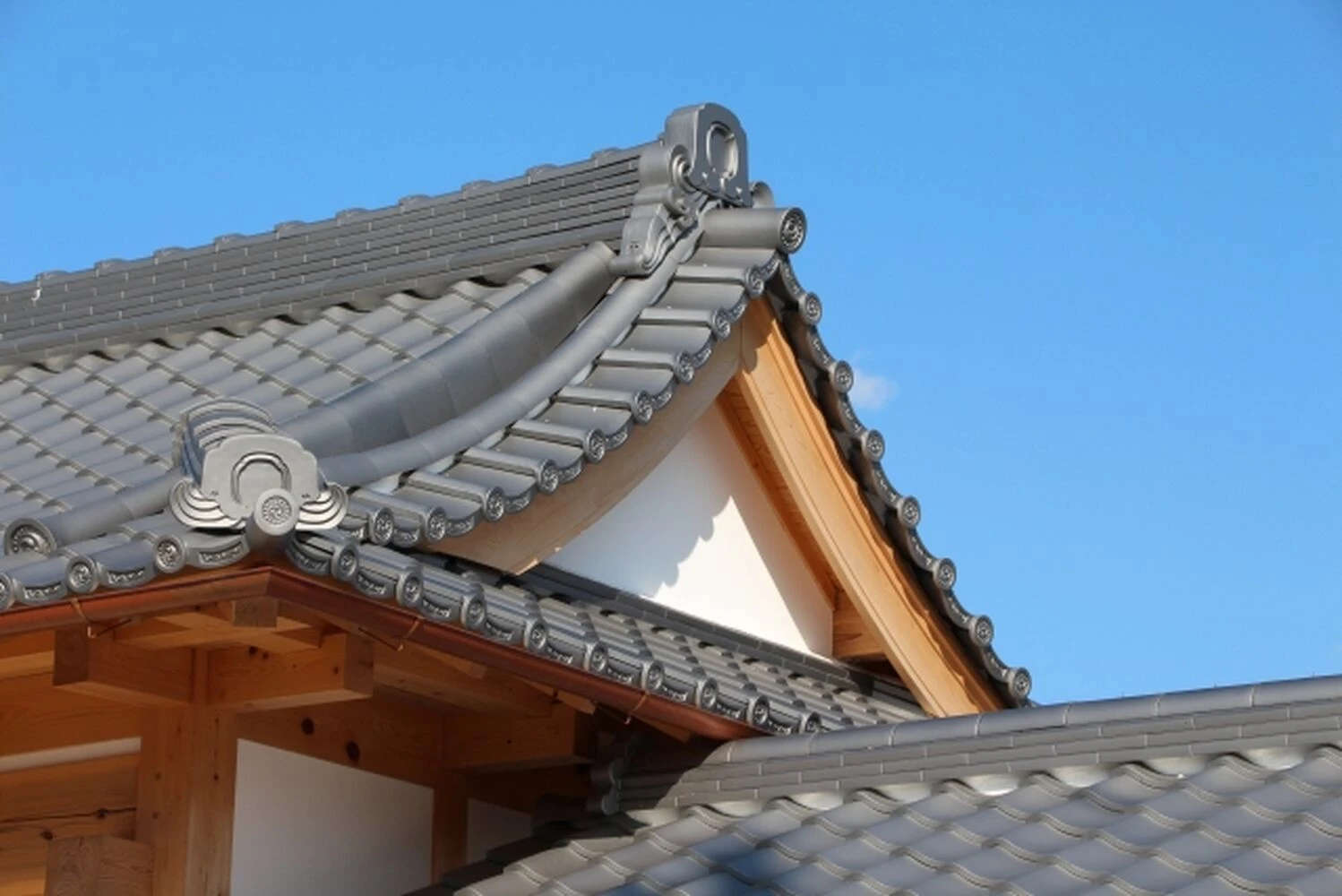 画像1646